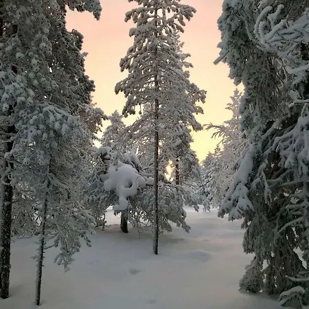 Borealis Near Center, Free Onsite Parking, Wifi Lejlighed *