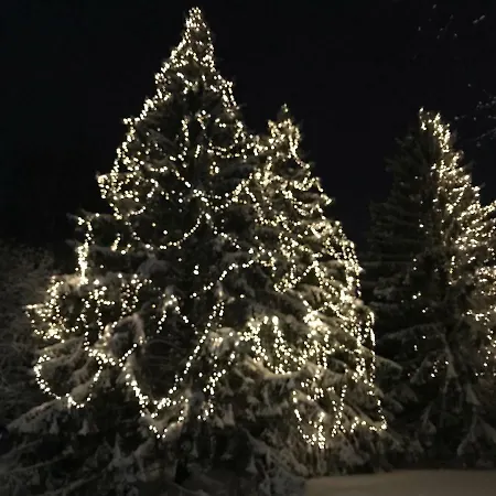 Lejlighed Borealis Near Center, Free Onsite Parking, Wifi *